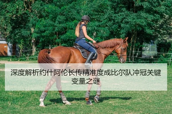 深度解析约什阿伦长传精准度成比尔队冲冠关键变量之谜